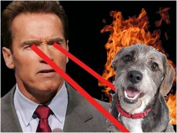 Governator2 Picture Source: Clusterstock