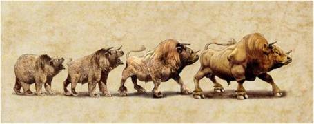 Bear to Bull Picture Source: The Wall Street Journal (Mick Coulas)