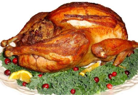 Turkey Stuffed