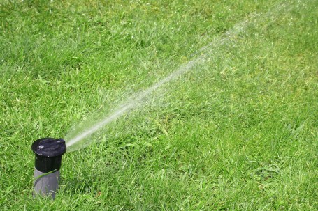 Lawn Sprinkler