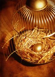 Nest Egg Cage