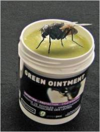 Fly in Ointment