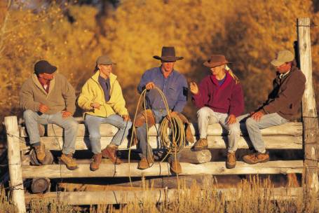 Fence Sitting Cowboys