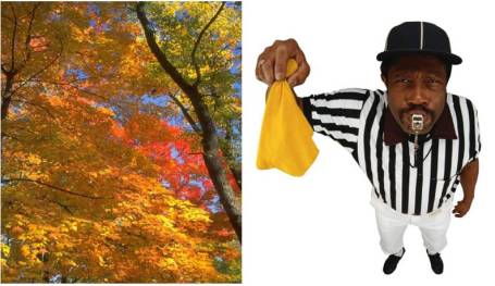 Autumn Replacement Ref