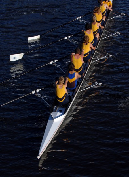 an aerial view of a rowing crew in action.