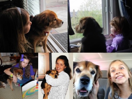 There’s no replacing that special bond with your special pet.