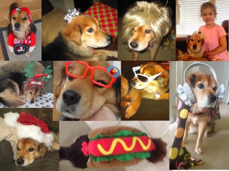 Corky may not have liked it, but she played along with our costume abuse.