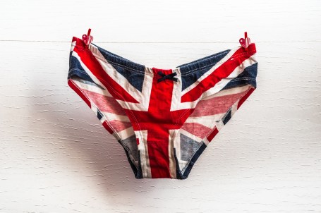 Pair of British Briefs