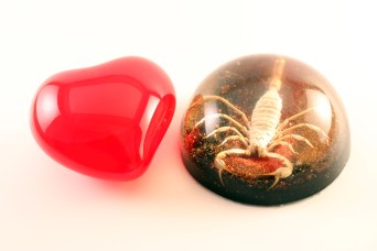 lovehateglass-heart-1144859